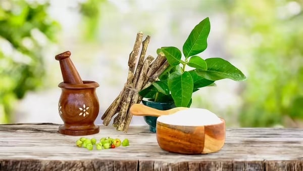 How Traditional Healing Works | Professor Farid
